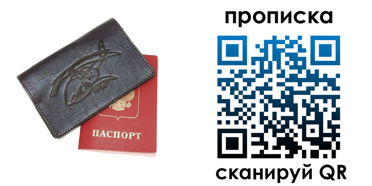 прописка поиск в Камышине