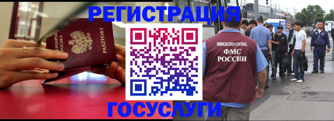 прописка поиск в Камышине